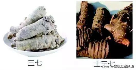 三七粉可以作为日常保健长期吃吗,一天吃三七粉对身体最大的好处