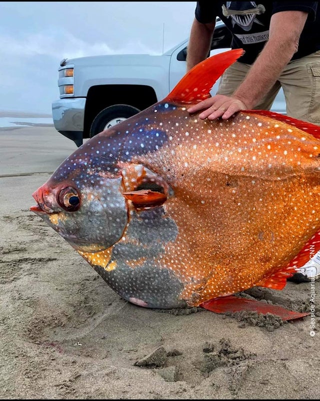 25张活久未见的历史照片,35张活久见的照片