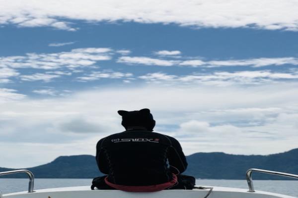 戒赌可以但是欠的钱太多怎么办,怎样才能戒赌还清赌债