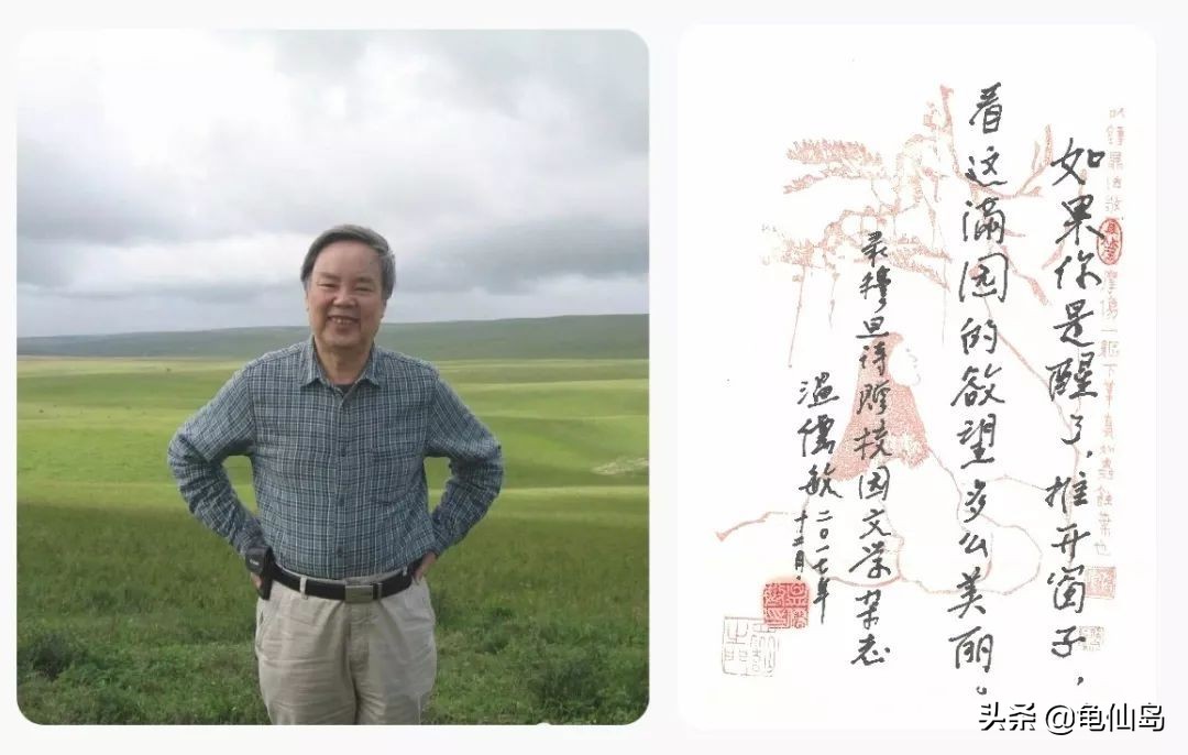 花里胡哨,模糊不清,部编版语文课文插图到底怎么了