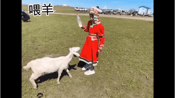 暑假带孩子内蒙古旅游攻略,暑期内蒙古亲子游鄂尔多斯