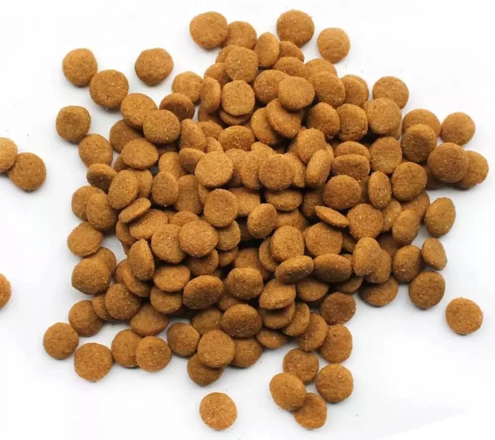 一周资讯11.12-11.16宠物圈里的大事小情