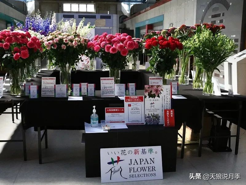 足不出户,带你了解2020日本园艺圈「新品种大赏」
