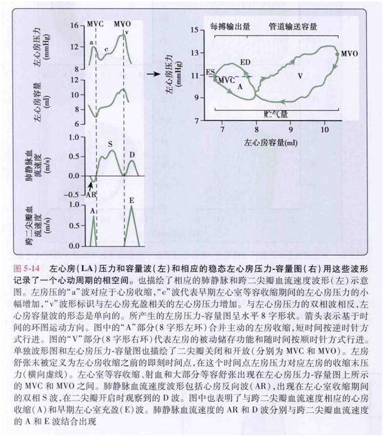 卡普兰教授的五本书,卡普兰治心衰新药