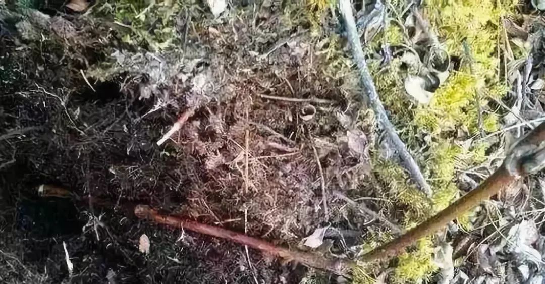 等疫情结束了我想回趟老家,等疫情结束了我想回安徽