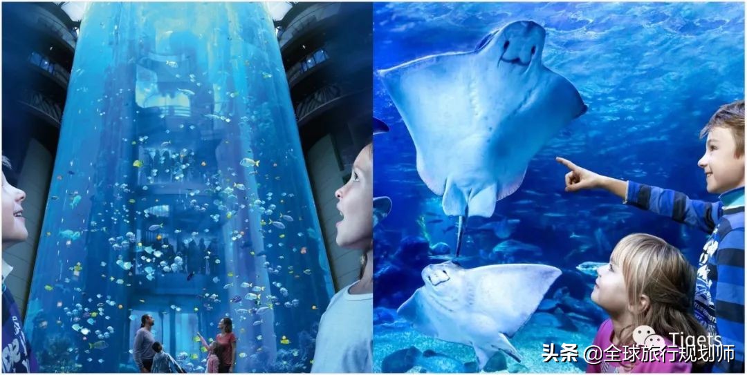 端午小长假的正确方式,小长假该如何安排