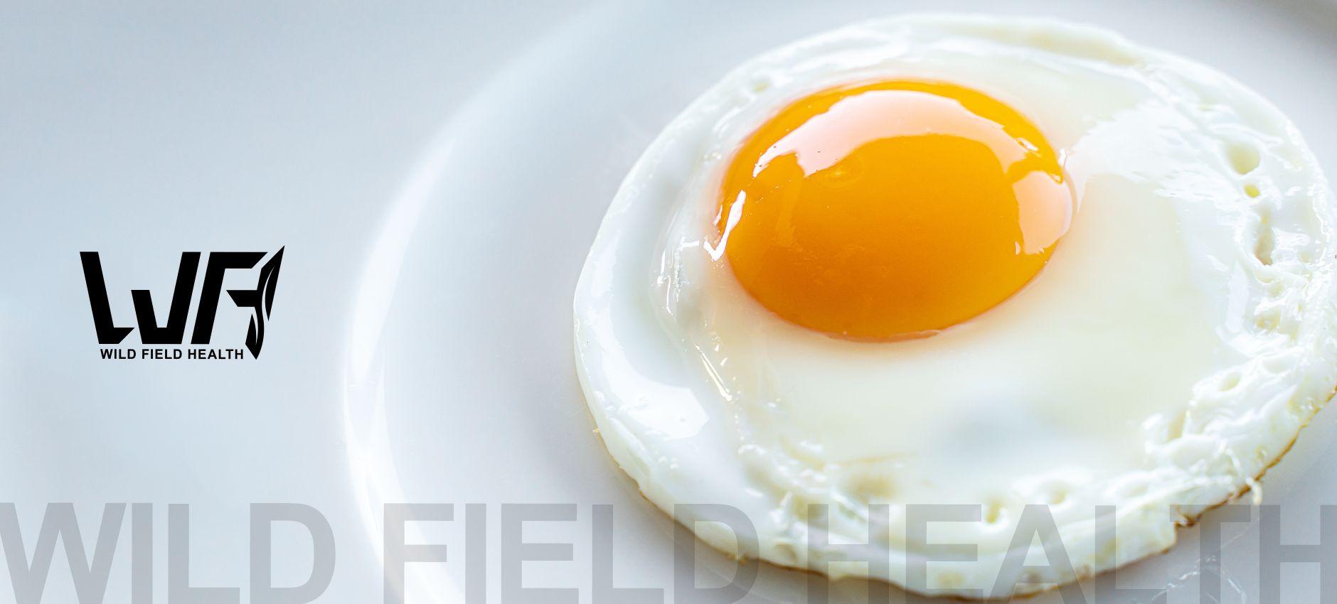 长期节食基础代谢降低了怎么恢复,长期节食减肥代谢变低怎么恢复