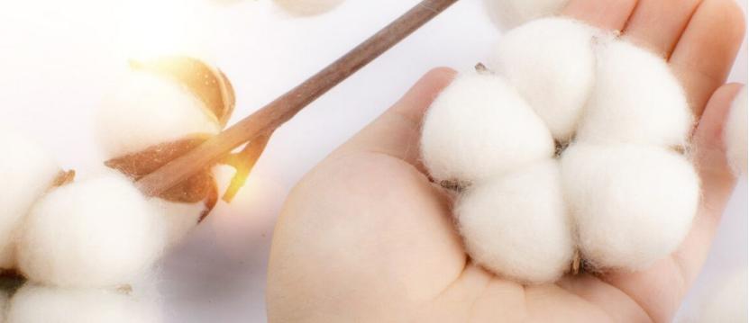 「设计师百坑系列」从*疆新**棉聊起——T恤印花的面料坑