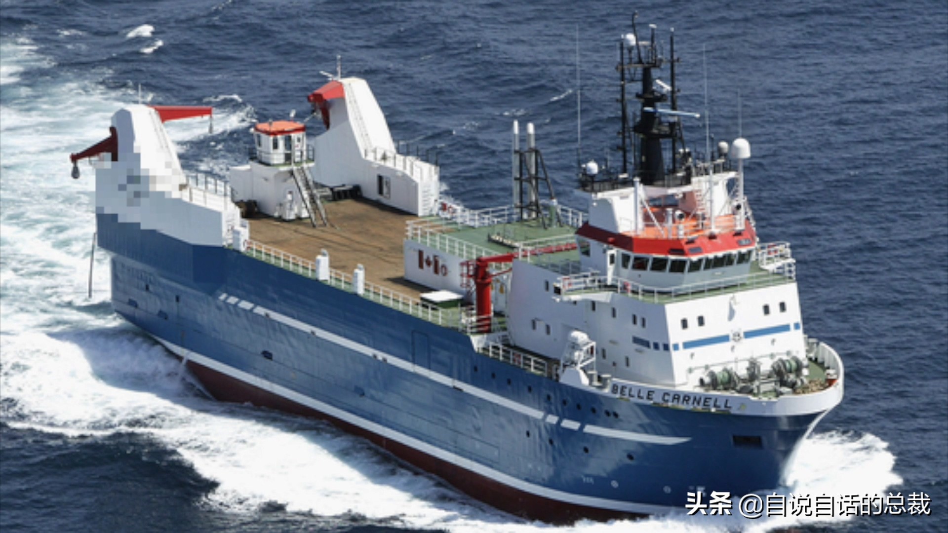 海鲜蛤蜊与蛤蜊区分,蛏子与小人蚬的区别