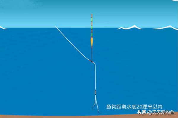 新手钓鱼调漂最简单最实用的方法,钓鱼调漂的正确方法和技巧图解