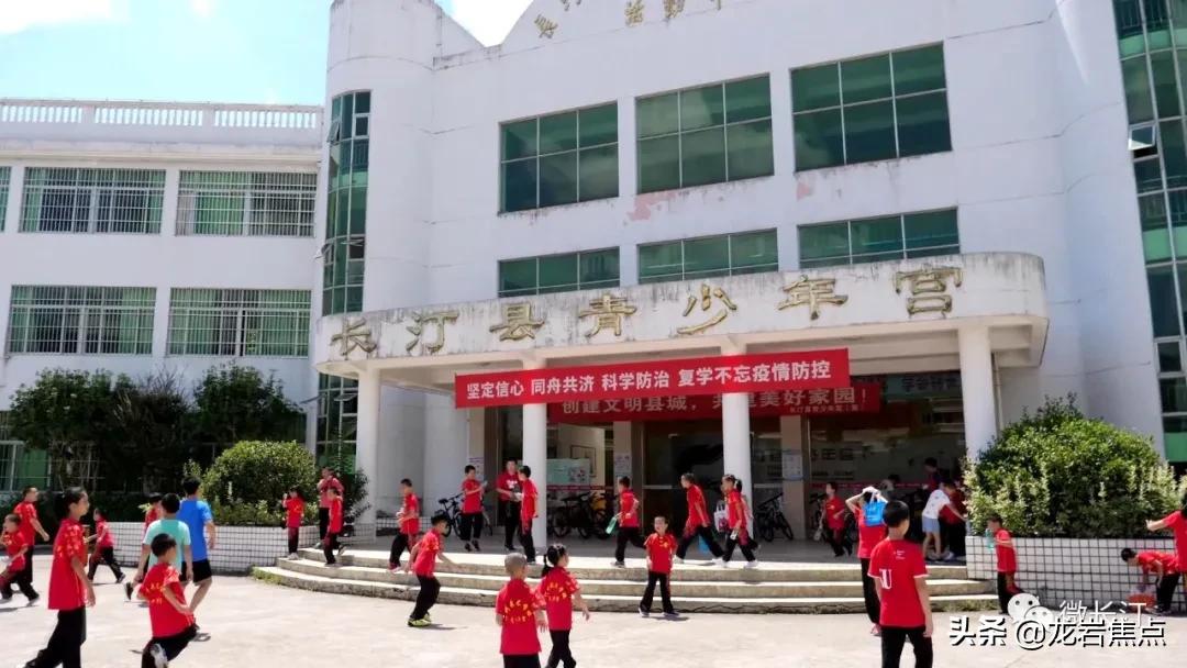 不断提升农产品附加值,闽西长汀县槟榔芋基地