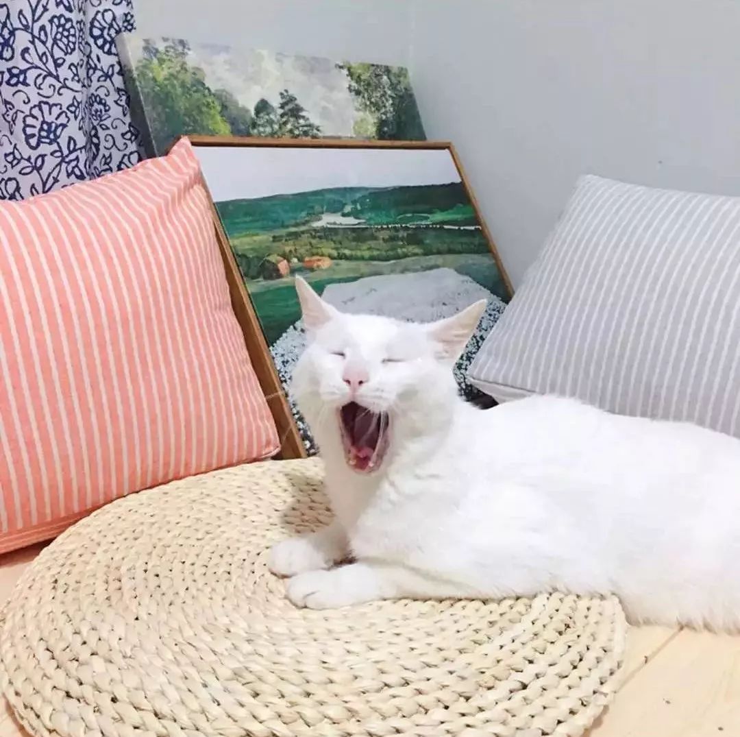 90后设计师妹子仅用5万，将89㎡装成温馨洋房！