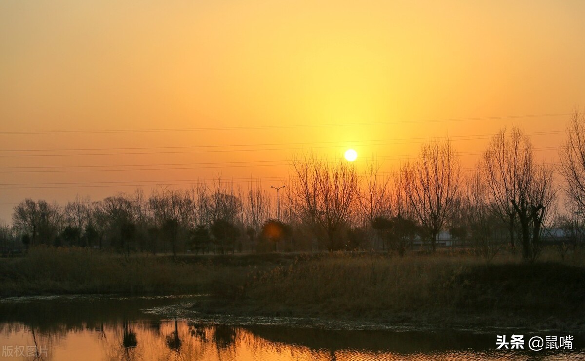 世说新语王徽之译文,广陵散世说新语译文