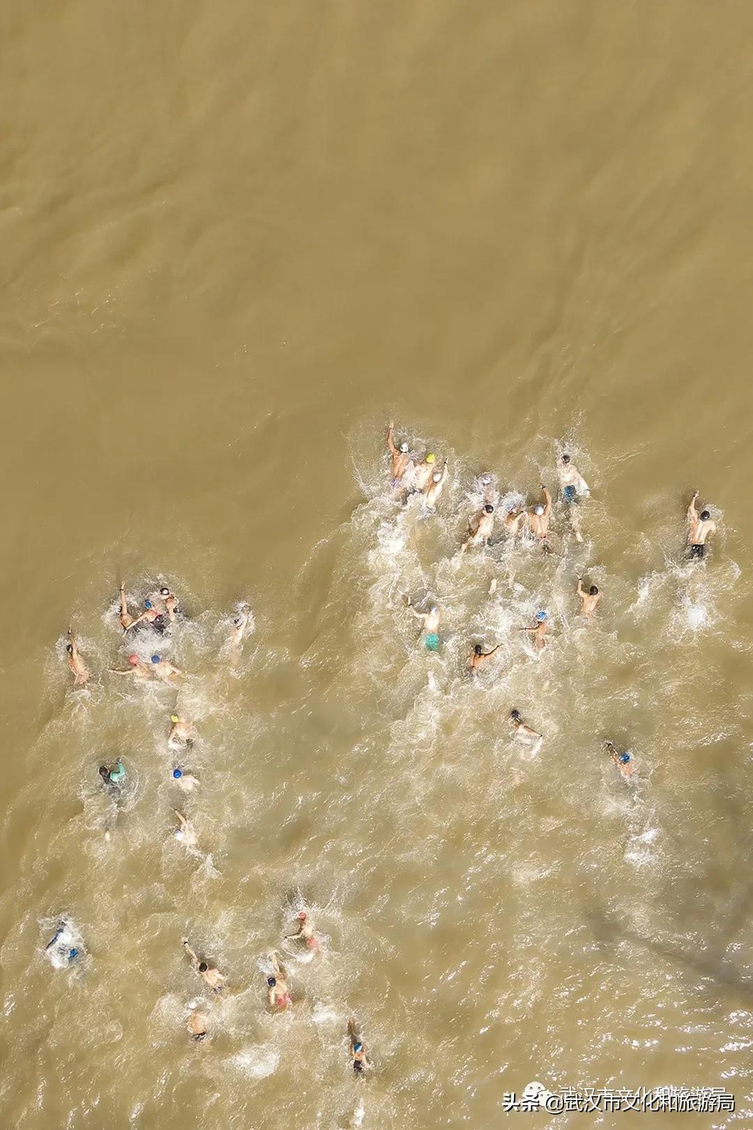 武汉渡江节获奖,3-6岁佩奇