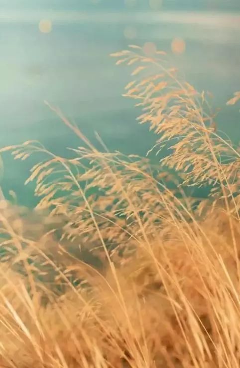 读给你听原文,读给你听