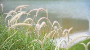 深圳主题公园推荐,深圳爱国主义主题公园