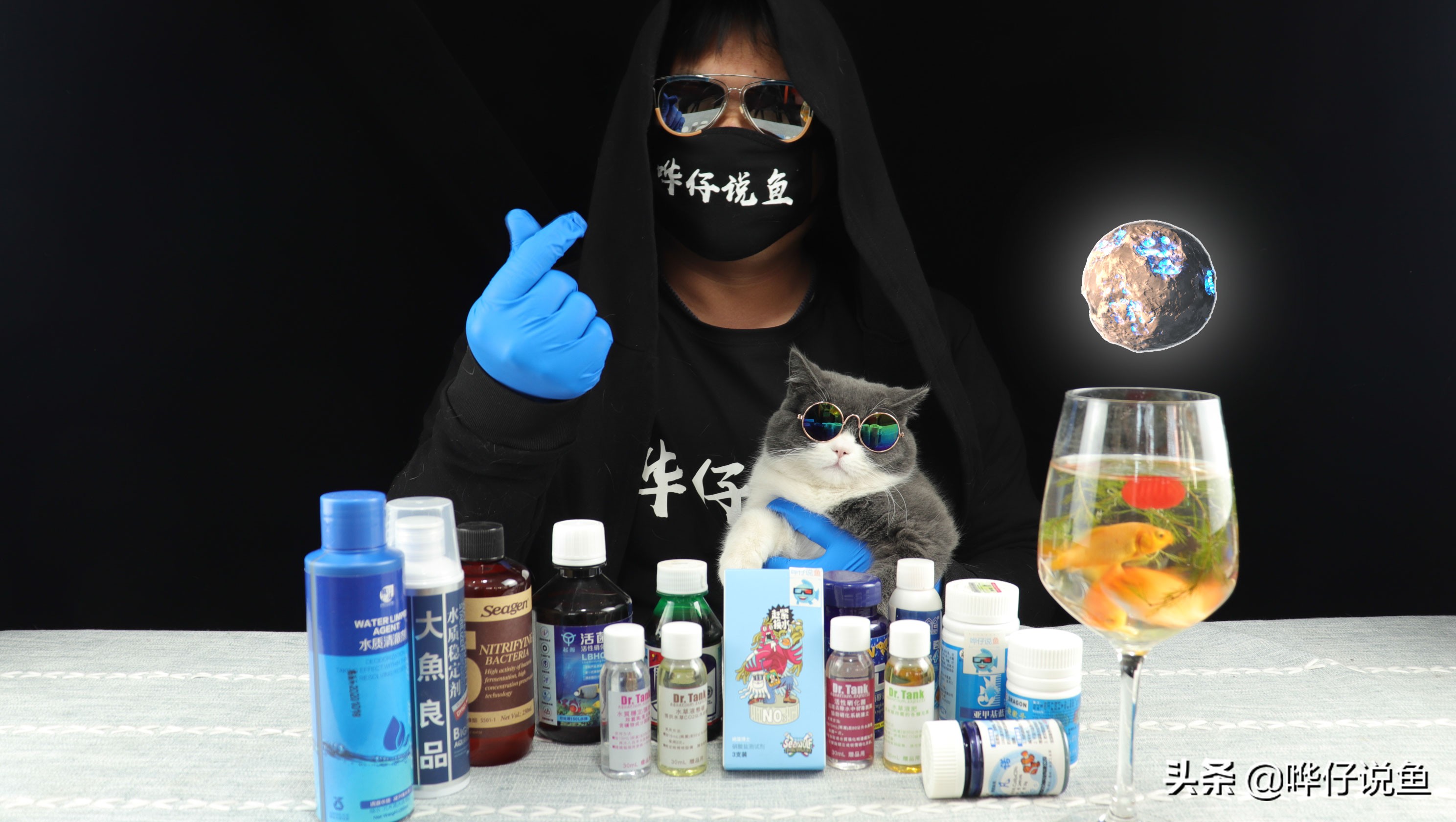 观赏鱼之怪现象：一条鱼有病，一缸鱼跟着一起吃药，闹着玩儿呢？