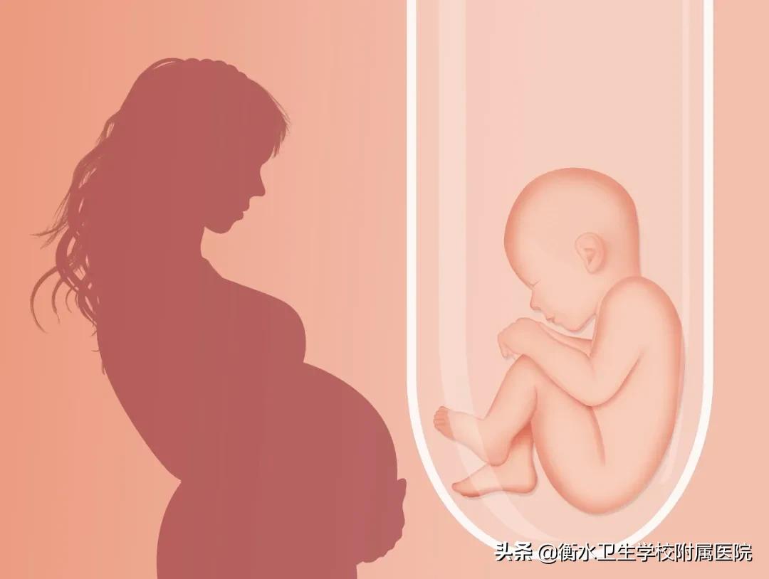 「小贴士」胚胎移植常见问题