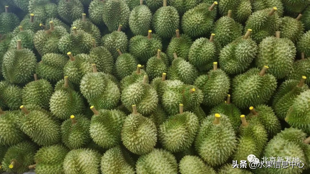 水果大王们生意经,水果生意经