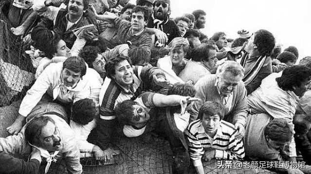 猎鹰人足球鞋,猎鹰儿童足球鞋