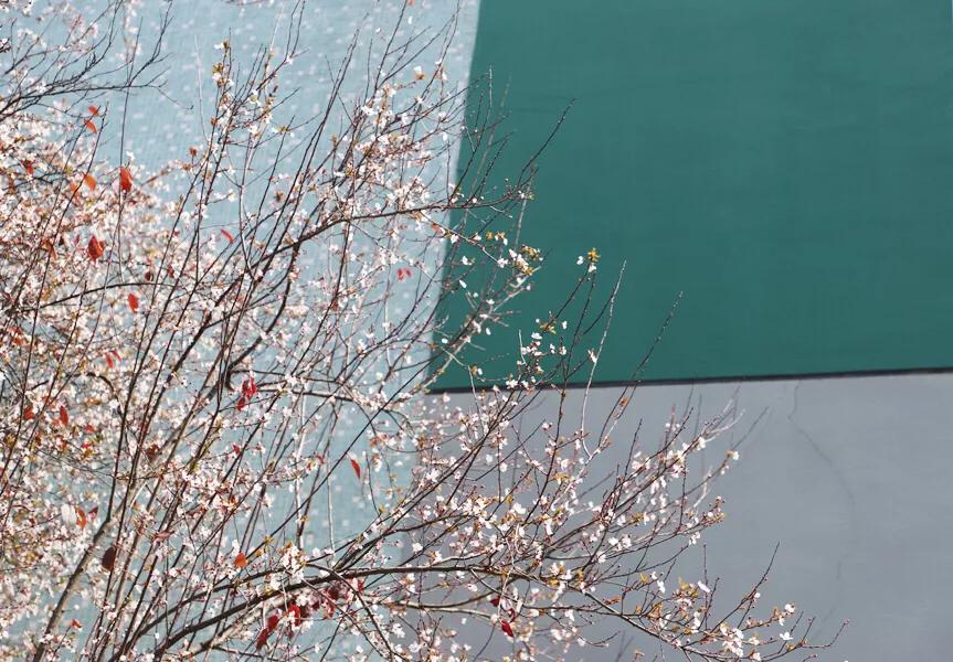 春日丽院，与你一起沐浴阳光