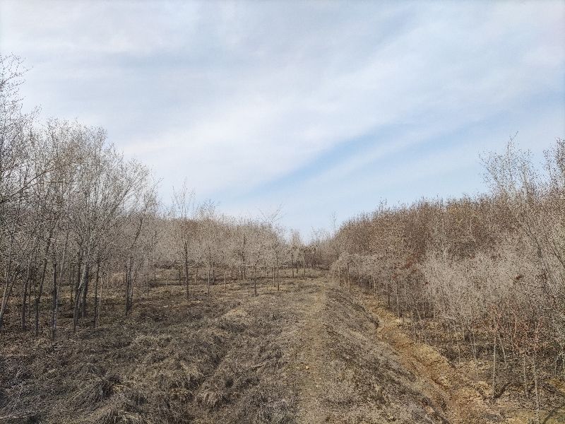 乌鲁木齐周边野营游玩好去处,新疆乌鲁木齐户外游玩