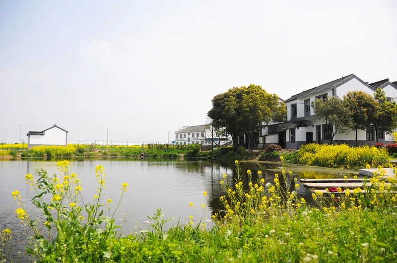 江阴人少景美,江阴有哪些人文景观