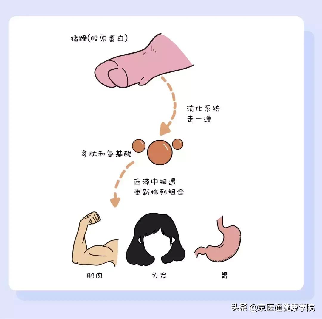 被吹上天却没什么用的保健品,被吹上天的阿胶