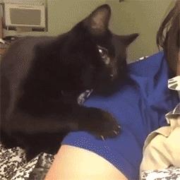 被猫抓伤的伤口痒什么原因,被猫抓伤出血伤口肿了很痒