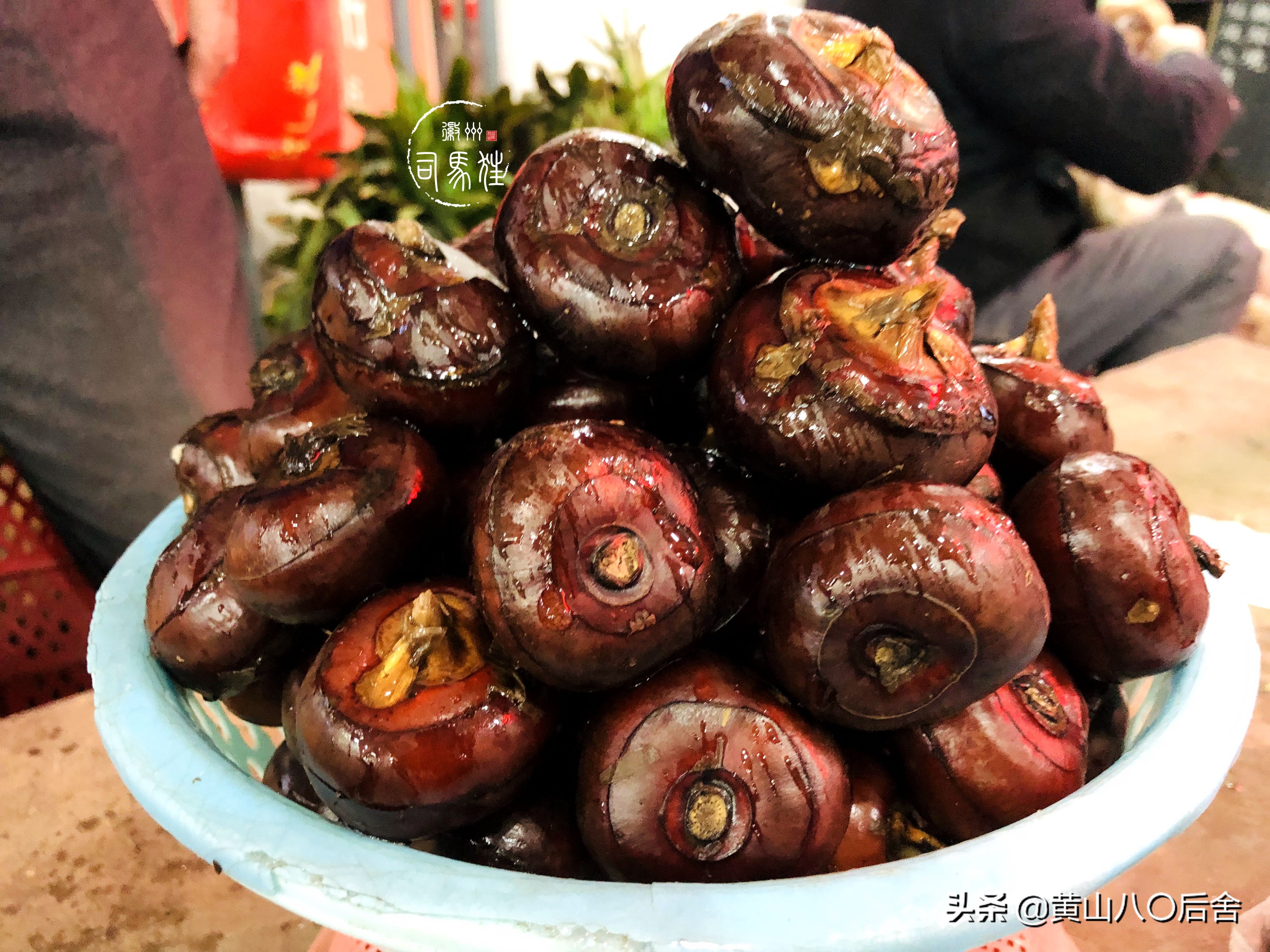 鑸屽皷涓婄殑缇庨鑽歌崰,鑸屽皷涓婄殑涓浗榛勫北姝欏幙鑽歌崰