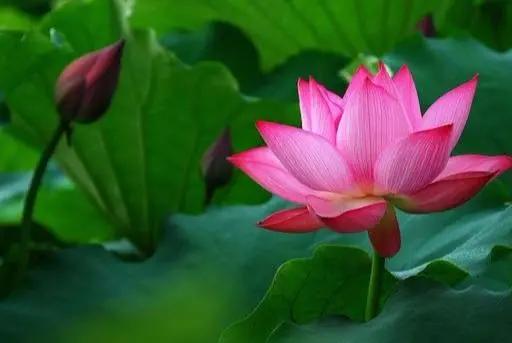 2020门诊禁止输液的53种病种