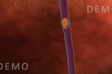 浣犵殑韬綋鍒板簳闀夸粈涔堟牱,浣犵煡閬撲綘鐨勮韩浣撻暱鍟ユ牱瀛愬悧