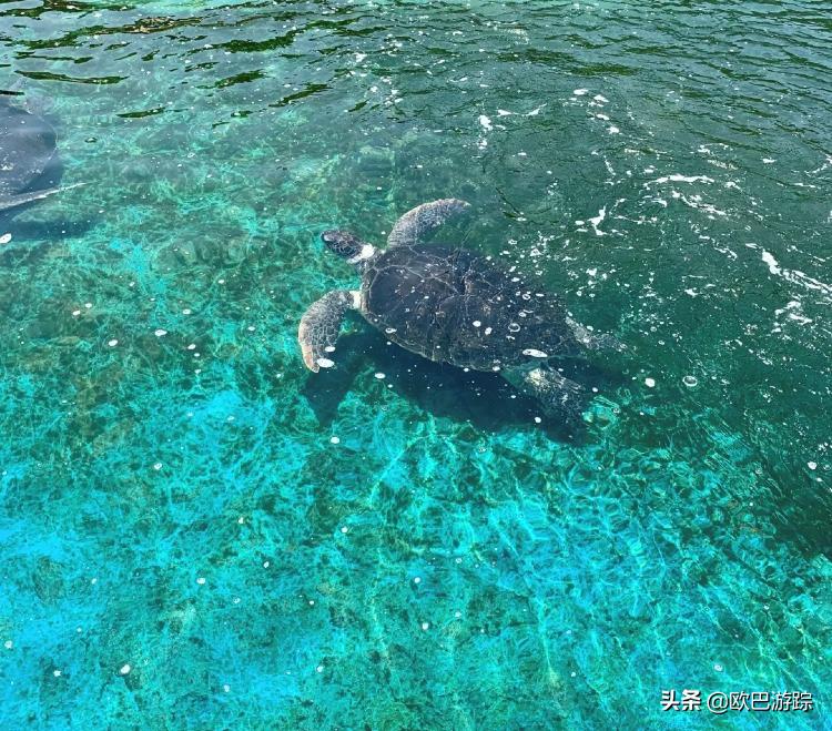 广东海岛打卡网红地,广东小众海岛打卡