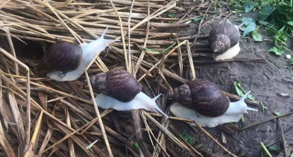 想搞养殖用什么手续,想搞养殖养什么赚钱