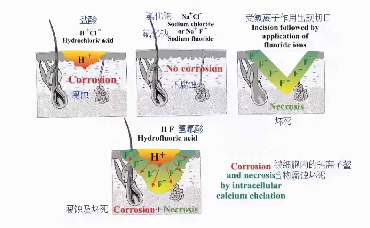 氢氟酸的危害有多可怕,氢氟酸的危害到底有多大