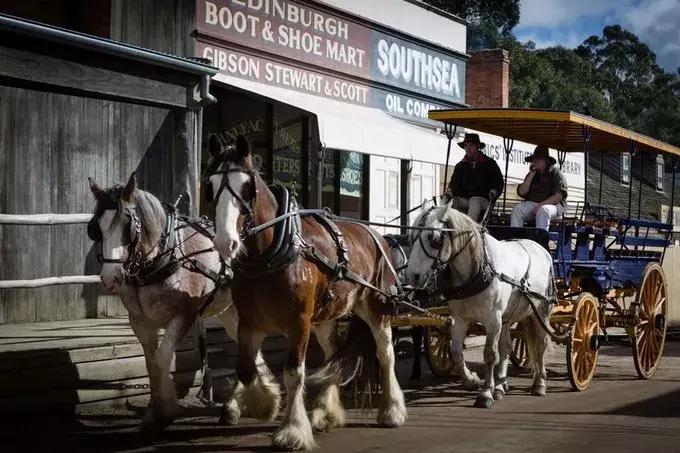 澳大利亚墨尔本旅游指南,墨尔本攻略自由行