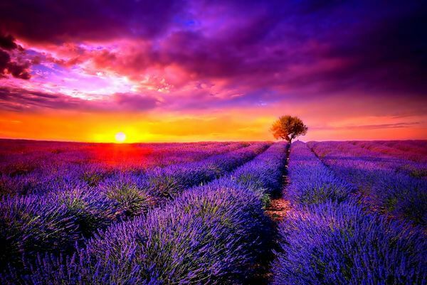 *疆新**是个好地方作者：刘尊鑫