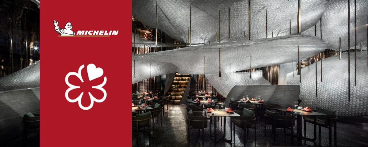 大会员时代下你买了多少会员？