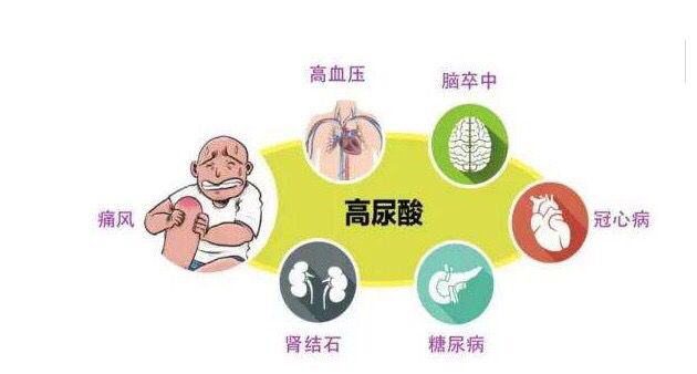 痛风引起高血压先降什么,痛风导致的高血压可以治愈吗