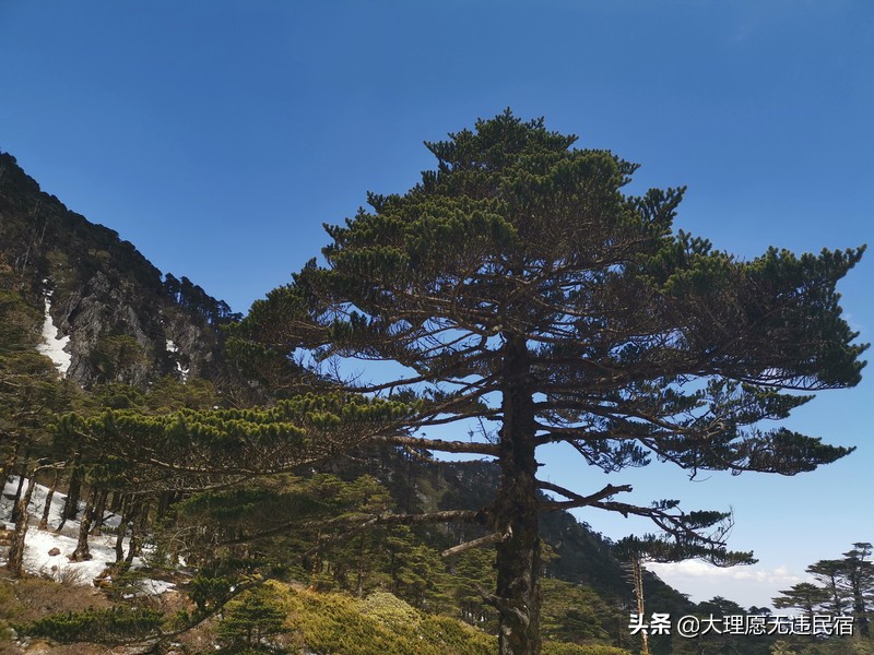 大理苍山一日免费游详细攻略,大理苍山旅游攻略自由行