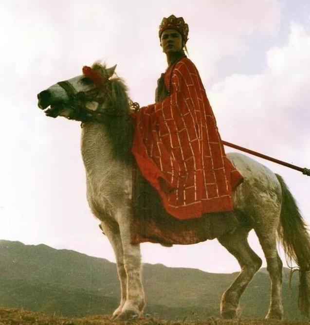 白龙马惨死最后怎么解决的,白龙马惨死事件