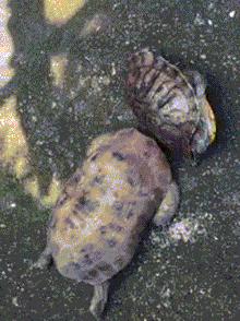 不联系的同学借钱怎么高情商回复,怎么回复借钱的同学