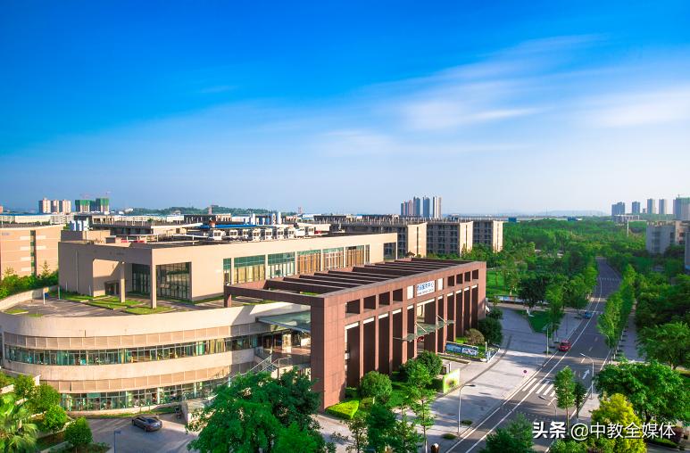 重庆交通大学杨林：发挥交通特色优势，着力培养高素质应用型人才