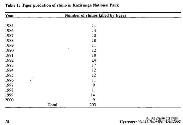 老虎杀犀牛全过程,老虎猎杀犀牛过程