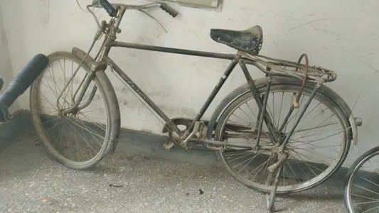 非洲黑哥爱用“二八大杠”运香蕉,时速60公里都不捏刹车