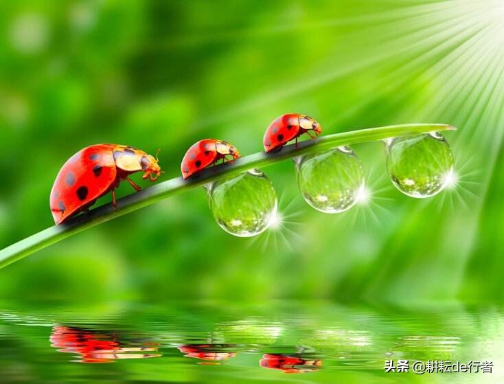 定了！2020年生物源农药发展新方向