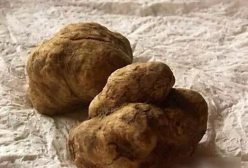 吃过最奢侈的菜,超级昂贵的五种顶级食材