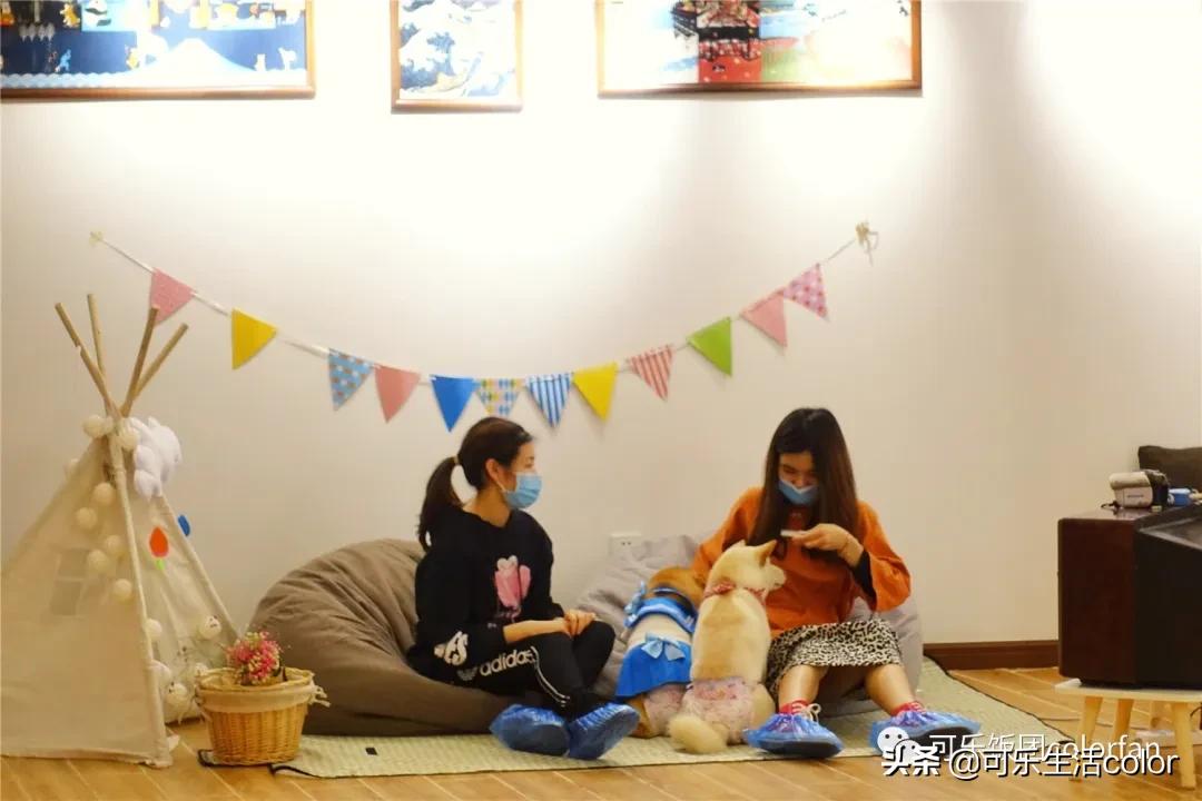 撸柴宠物乐园,广州番禺撸狗圣地