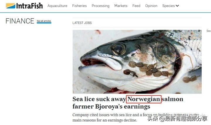 挪威三文鱼养殖环境恶劣纪录片,挪威三文鱼养殖环境恶劣新闻