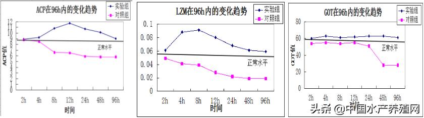 中草药制剂HCV弧菌病能防治、修复肝胰腺，广东省农业力推技术